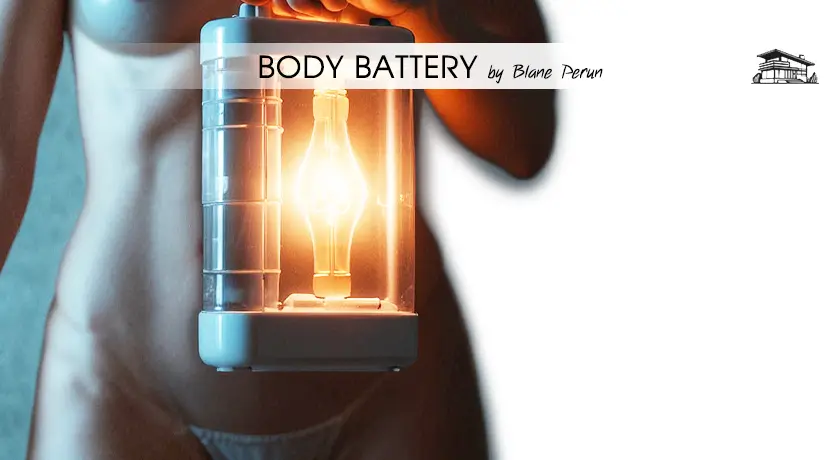 What Is The Body Battery Interior Designers Naples Fl